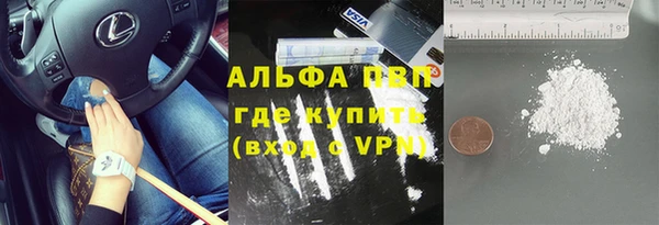 шишки Абинск