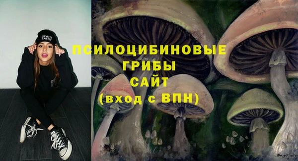 не бодяженный Абдулино
