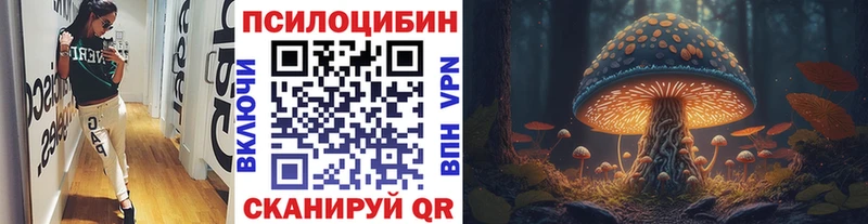закладка  Чкаловск  Галлюциногенные грибы Magic Shrooms 